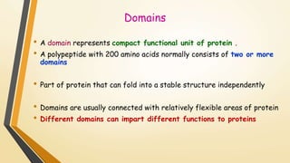 Domains 
• A domain represents compact functional unit of protein . 
• A polypeptide with 200 amino acids normally consists of two or more 
domains 
• Part of protein that can fold into a stable structure independently 
• Domains are usually connected with relatively flexible areas of protein 
• Different domains can impart different functions to proteins 
 