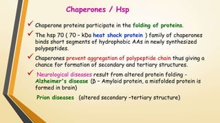Chaperones / Hsp 
 Chaperone proteins participate in the folding of proteins. 
 The hsp 70 ( 70 – kDa heat shock protein ) family of chaperones 
binds short segments of hydrophobic AAs in newly synthesized 
polypeptides. 
 Chaperones prevent aggregation of polypeptide chain thus giving a 
chance for formation of secondary and tertiary structures. 
 Neurological diseases result from altered protein folding - 
Alzheimer's disease (β – Amyloid protein, a misfolded protein is 
formed in brain) 
Prion diseases (altered secondary –tertiary structure) 
 