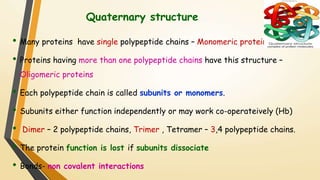 Quaternary structure 
• Many proteins have single polypeptide chains – Monomeric proteins 
• Proteins having more than one polypeptide chains have this structure – 
Oligomeric proteins 
• Each polypeptide chain is called subunits or monomers. 
• Subunits either function independently or may work co-operateively (Hb) 
• Dimer – 2 polypeptide chains, Trimer , Tetramer – 3,4 polypeptide chains. 
• The protein function is lost if subunits dissociate 
• Bonds- non covalent interactions 
 