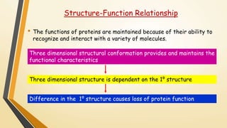 Structure-Function Relationship 
• The functions of proteins are maintained because of their ability to 
recognize and interact with a variety of molecules. 
Three dimensional structural conformation provides and maintains the 
functional characteristics 
Three dimensional structure is dependent on the 1⁰ structure 
Difference in the 1⁰ structure causes loss of protein function 
 