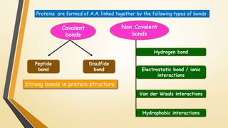 Proteins are formed of A.A. linked together by the following types of bonds 
Covalent 
bonds 
Non Covalent 
bonds 
Peptide 
bond 
Disulfide 
bond 
Hydrogen bond 
Electrostatic bond / ionic 
interactions 
Van der Waals interactions 
Hydrophobic interactions 
Strong bonds in protein structure 
 