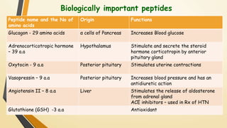 Biologically important peptides 
Peptide name and the No of 
amino acids 
Origin Functions 
Glucagon - 29 amino acids α cells of Pancreas Increases Blood glucose 
Adrenocorticotropic hormone 
– 39 a.a 
Hypothalamus Stimulate and secrete the steroid 
hormone corticotropin by anterior 
pituitary gland 
Oxytocin - 9 a.a Posterior pituitary Stimulates uterine contractions 
Vasopressin – 9 a.a Posterior pituitary Increases blood pressure and has an 
antidiuretic action 
Angiotensin II – 8 a.a Liver Stimulates the release of aldosterone 
from adrenal gland 
ACE inhibitors – used in Rx of HTN 
Glutathione (GSH) -3 a.a Antioxidant 
 