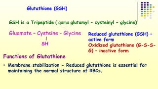 Glutathione (GSH) 
GSH is a Tripeptide ( gama glutamyl – cysteinyl – glycine) 
Gluamate – Cysteine - Glycine 
SH 
Reduced glutathione (GSH) – 
active form 
Oxidized glutathione (G-S-S-G) 
– inactive form 
Functions of Glutathione 
• Membrane stabilization - Reduced glutathione is essential for 
maintaining the normal structure of RBCs. 
 