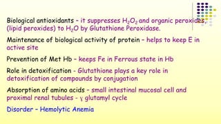 Biological antioxidants – it suppresses H2O2 and organic peroxides, 
(lipid peroxides) to H2O by Glutathione Peroxidase. 
Maintenance of biological activity of protein – helps to keep E in 
active site 
Prevention of Met Hb – keeps Fe in Ferrous state in Hb 
Role in detoxification - Glutathione plays a key role in 
detoxification of compounds by conjugation 
Absorption of amino acids – small intestinal mucosal cell and 
proximal renal tubules - ɣ glutamyl cycle 
Disorder – Hemolytic Anemia 
 