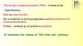 Thyrotropin releasing hormone (TRH) – 3 amino acids 
Hypothalamus 
PGA-Glu-His-Pro-NH2 
Glu is modified to form pyroglutamic acid (cyclization of N 
terminal Glutamate). 
Proline – carboxyl gr of proline is amidated 
It stimulates the release of TSH from antr. pituitary 
 