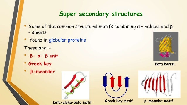 super secondary structure of protein ppt