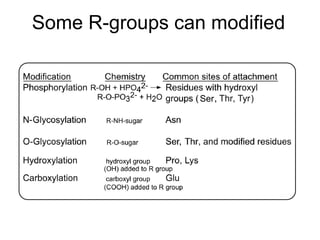 Protein structure | PPT