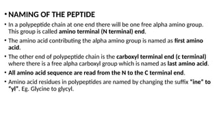 protein structure.pptxJfzkgkxhofuzufsyid | PPTX