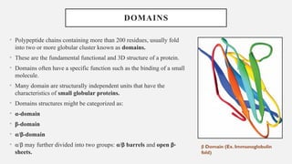 PROTEIN STRUCTURE: presentation on structure of proteins | PPTX