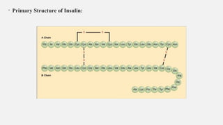 PROTEIN STRUCTURE: presentation on structure of proteins | PPTX