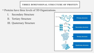 PROTEIN STRUCTURE: presentation on structure of proteins | PPTX