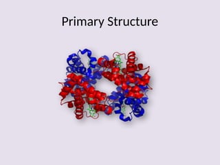 Comprehensive Overview of Protein Structure, Function, and ...