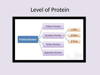 Comprehensive Overview of Protein Structure, Function, and ...