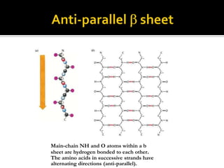 Main-chain NH and O atoms within a b
sheet are hydrogen bonded to each other.
The amino acids in successive strands have
alternating directions (anti-parallel).

 