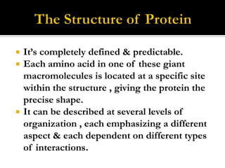 




It‟s completely defined & predictable.
Each amino acid in one of these giant
macromolecules is located at a specific site
within the structure , giving the protein the
precise shape.
It can be described at several levels of
organization , each emphasizing a different
aspect & each dependent on different types
of interactions.

 