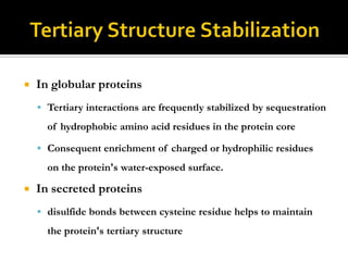 

In globular proteins
 Tertiary interactions are frequently stabilized by sequestration

of hydrophobic amino acid residues in the protein core
 Consequent enrichment of charged or hydrophilic residues

on the protein's water-exposed surface.


In secreted proteins
 disulfide bonds between cysteine residue helps to maintain

the protein's tertiary structure

 