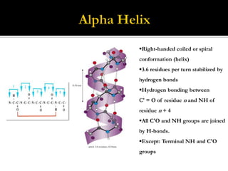 Right-handed coiled or spiral

conformation (helix)
3.6 residues per turn stabilized by
hydrogen bonds
Hydrogen bonding between

C' = O of residue n and NH of
residue n + 4
All C'O and NH groups are joined
by H-bonds.
Except: Terminal NH and C'O
groups

 