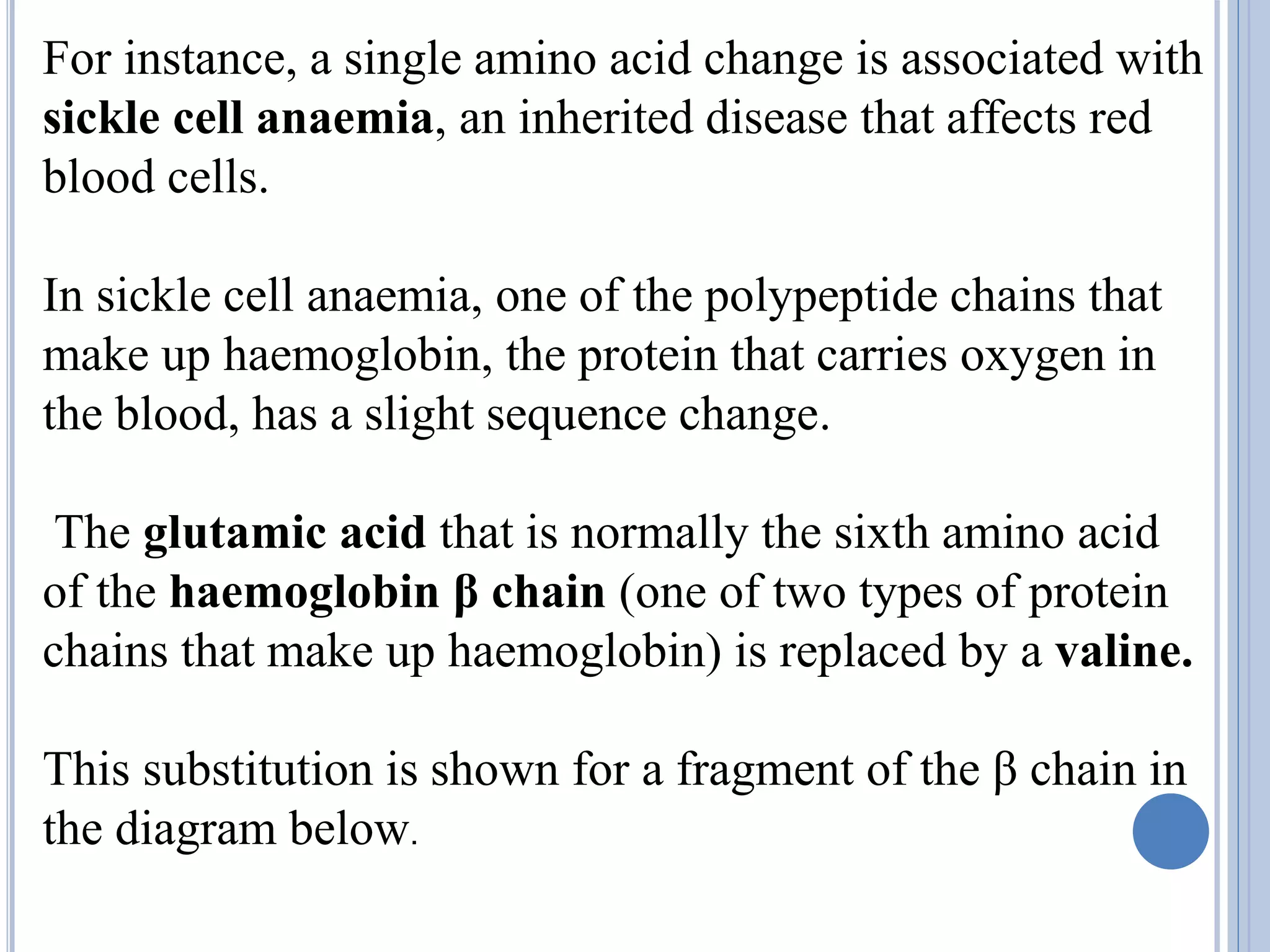For instance, a single amino acid change is associated with
sickle cell anaemia, an inherited disease that affects red
blood cells.
In sickle cell anaemia, one of the polypeptide chains that
make up haemoglobin, the protein that carries oxygen in
the blood, has a slight sequence change.
The glutamic acid that is normally the sixth amino acid
of the haemoglobin β chain (one of two types of protein
chains that make up haemoglobin) is replaced by a valine.
This substitution is shown for a fragment of the β chain in
the diagram below.
 