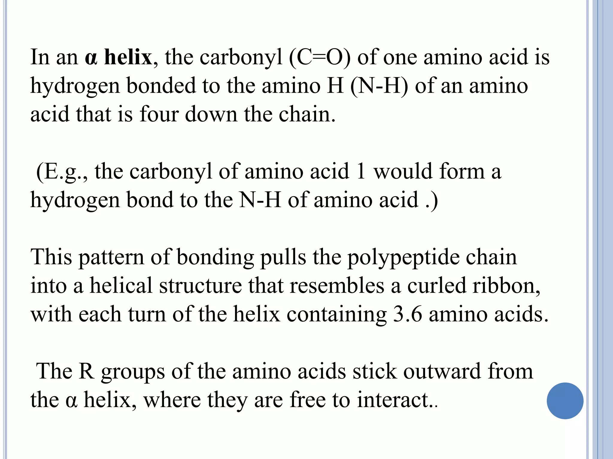 In an α helix, the carbonyl (C=O) of one amino acid is
hydrogen bonded to the amino H (N-H) of an amino
acid that is four down the chain.
(E.g., the carbonyl of amino acid 1 would form a
hydrogen bond to the N-H of amino acid .)
This pattern of bonding pulls the polypeptide chain
into a helical structure that resembles a curled ribbon,
with each turn of the helix containing 3.6 amino acids.
The R groups of the amino acids stick outward from
the α helix, where they are free to interact..
 