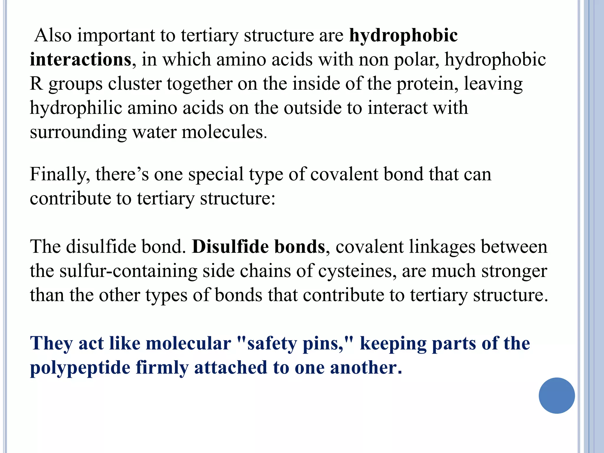 Also important to tertiary structure are hydrophobic
interactions, in which amino acids with non polar, hydrophobic
R groups cluster together on the inside of the protein, leaving
hydrophilic amino acids on the outside to interact with
surrounding water molecules.
Finally, there’s one special type of covalent bond that can
contribute to tertiary structure:
The disulfide bond. Disulfide bonds, covalent linkages between
the sulfur-containing side chains of cysteines, are much stronger
than the other types of bonds that contribute to tertiary structure.
They act like molecular "safety pins," keeping parts of the
polypeptide firmly attached to one another.
 