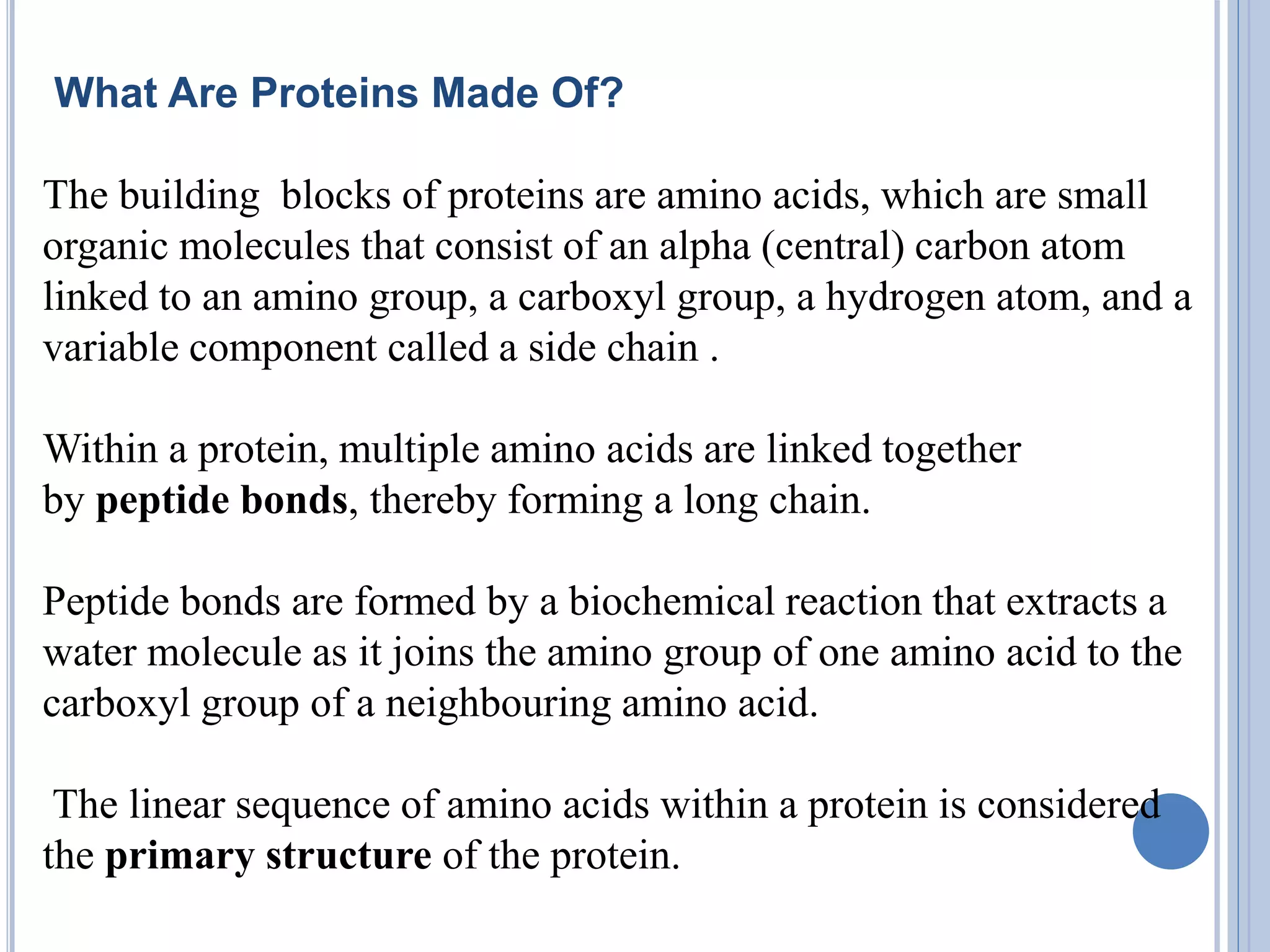 What Are Proteins Made Of?
The building blocks of proteins are amino acids, which are small
organic molecules that consist of an alpha (central) carbon atom
linked to an amino group, a carboxyl group, a hydrogen atom, and a
variable component called a side chain .
Within a protein, multiple amino acids are linked together
by peptide bonds, thereby forming a long chain.
Peptide bonds are formed by a biochemical reaction that extracts a
water molecule as it joins the amino group of one amino acid to the
carboxyl group of a neighbouring amino acid.
The linear sequence of amino acids within a protein is considered
the primary structure of the protein.
 