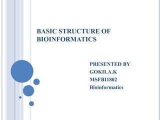 BASIC STRUCTURE OF
BIOINFORMATICS
PRESENTED BY
GOKILA.K
MSFBI1802
Bioinformatics
 