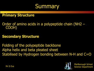 Summary Primary Structure Order of amino acids in a polypeptide chain (NH2 – COOH) Secondary Structure Folding of the polypeptide backbone Alpha helix and beta pleated sheet Stabilised by Hydrogen bonding between N-H and C=O