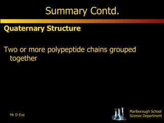 Summary Contd. Quaternary Structure Two or more polypeptide chains grouped together