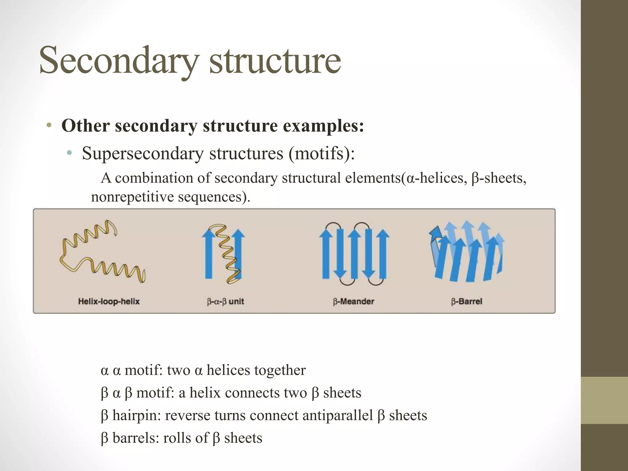Secondary structure
• Other secondary structure examples:
• Supersecondary structures (motifs):
A combination of secondary structural elements(α-helices, β-sheets,
nonrepetitive sequences).
α α motif: two α helices together
β α β motif: a helix connects two β sheets
β hairpin: reverse turns connect antiparallel β sheets
β barrels: rolls of β sheets
 
