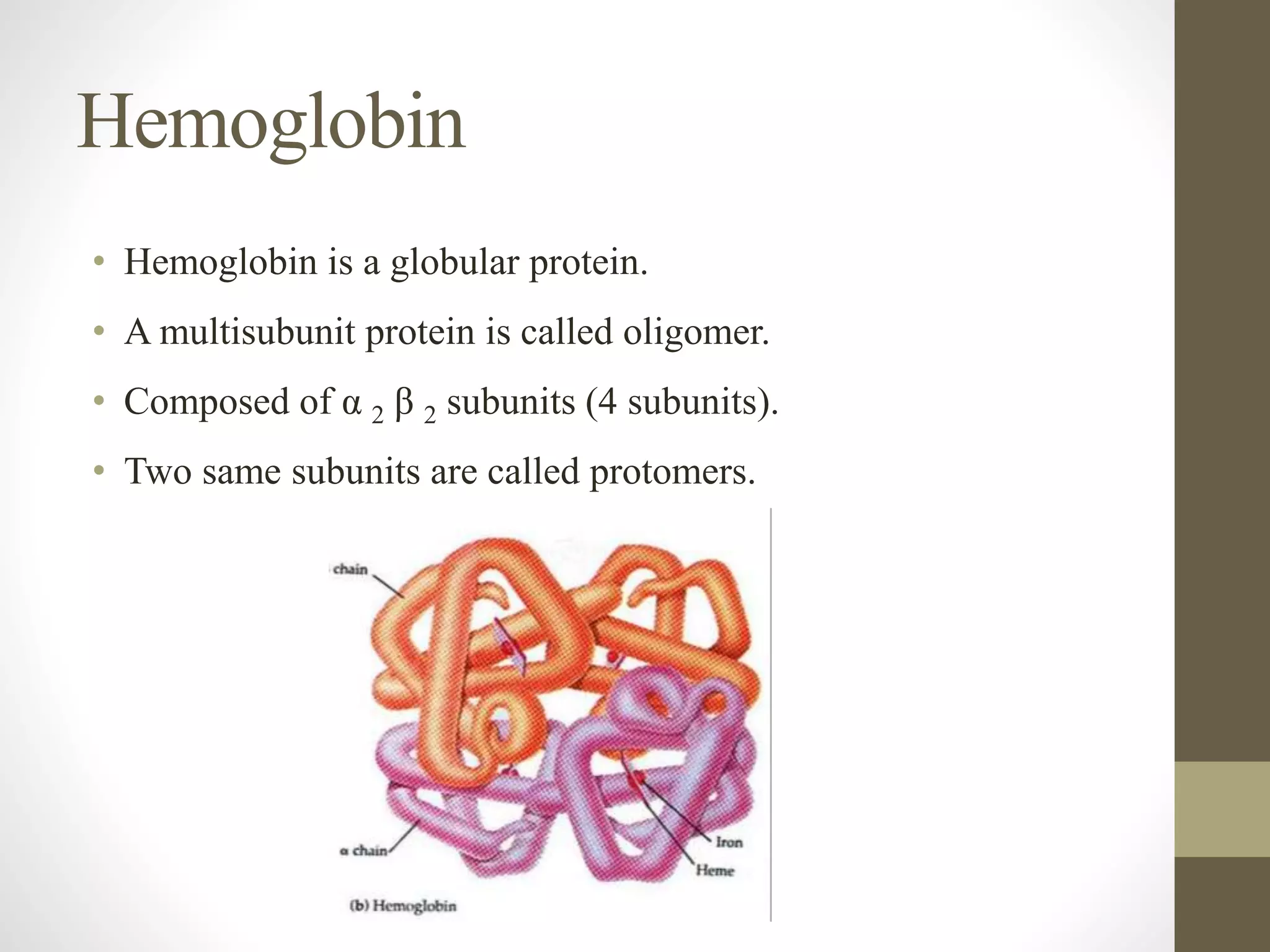 Hemoglobin
• Hemoglobin is a globular protein.
• A multisubunit protein is called oligomer.
• Composed of α 2 β 2 subunits (4 subunits).
• Two same subunits are called protomers.
 