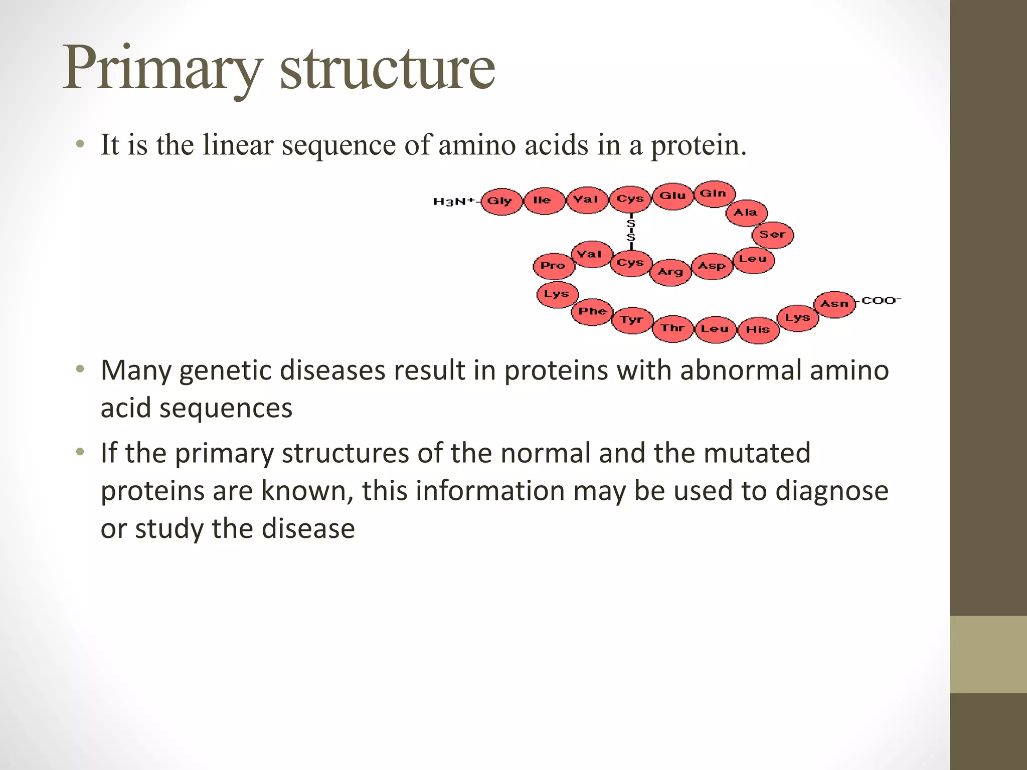 • It is the linear sequence of amino acids in a protein.
• Many genetic diseases result in proteins with abnormal amino
acid sequences
• If the primary structures of the normal and the mutated
proteins are known, this information may be used to diagnose
or study the disease
Primary structure
 