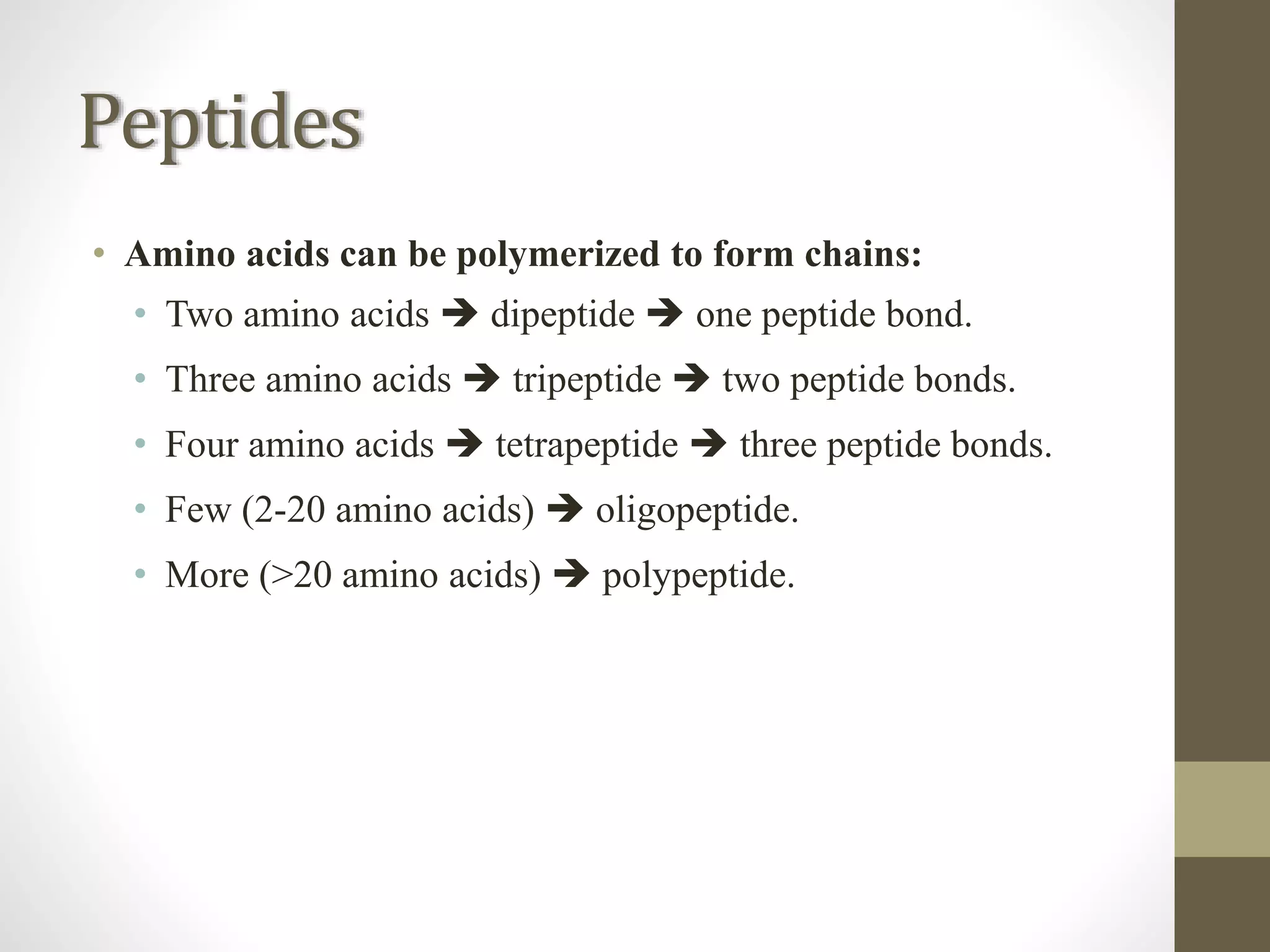 Peptides
• Amino acids can be polymerized to form chains:
• Two amino acids  dipeptide  one peptide bond.
• Three amino acids  tripeptide  two peptide bonds.
• Four amino acids  tetrapeptide  three peptide bonds.
• Few (2-20 amino acids)  oligopeptide.
• More (>20 amino acids)  polypeptide.
 