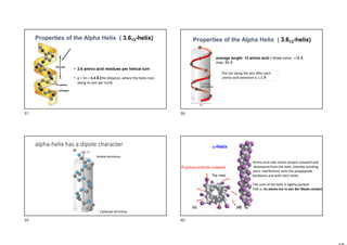 Properties of the Alpha Helix ( 3.613-helix)
• 3.6 amino acid residues per helical turn
• p = hn = 5.4 Å (the distance, where the helix rises
along its axis per turn)
Properties of the Alpha Helix ( 3.613-helix)
average length: 12 amino acid (~three turns, ~18 Å
max. 80 Å
The rise along the axis after each
amino acid extention is 1.5 Å
alpha-helix has a dipole character
Amino terminus
Carboxyl terminus
Top view
R groups protrude outwards
-Helix
Amino acid side chains project outward and
downward from the helix ,thereby avoiding
steric interference with the polypeptide
backbone and with each other.
The core of the helix is tightly packed;
that is, its atoms are in van der Waals contact.
37 38
39 40
 