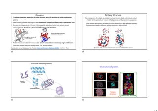 • A spatially separated, stable unit of tertiary structure, which is identified by some characteristic
patterns.
• Often linked by a flexible hinge region, these domains are compact and stable, with a hydrophobic core.
• Domains fold independently of the rest of the polypeptide, satisfying most of their residue–residue
contacts internally. Domain is a structural and functional unit of proteins.
• Proteins may have multiple domains and each domain has a distinct evolutionary origin and function
(DNA bind domain, coenzyme binding domain, Ca2+ binding domain).
See protein domain databases like Prosite, Conserved Domains Database (CDD), InterPro, Pfam.
Domains
Protein pyruvate kinase has
multidomain structure
Hemoglobin consists of
a single domain
Comparison of the structures of triosephosphate isomerase and dihydrofolate reductase
Tertiary Structure
The arrangement of multiple secondary structural elements leads to tertiary structure.
Protein tertiary structure is more reliably conserved than primary sequence.
•Two proteins with similar secondary structure elements but with different topology
(connectivities) leads to different tertiary structures – different fold.
Structural levels of proteins
3D structure of proteins
Tertiary
structure
Quaternary structure
53 54
55 56
 