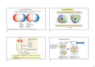 van der Waals interaction
- caused by transient dipoles, the momentary random fluctuation
in the distribution of the electrons of any atoms
When any two atoms approach each other closely, they create a weak, nonspecific attractive force
(1 kJ/mol)
Típusai:
permanens dipólus
Permanens és indukált dipólus
.
mindkettő indukált dipólus, London féle diszperziós erők
van der Waals forces
van der Waals Erők
van der Waals radius
(nm):
H 0.1 nm
C 0.17 nm
N 0.15 nm
O 0.14 nm
P 0.19 nm
S 0.185 nm
Attraction
Repulsion
• van der Waals forces disappear with increasing distance (~1/ r6
)
• ~ 1 kJ/mol
• Repulsion stops two atoms approach themselves than their van
der Waals radius
energy
of
Interaction
Hydrophobic Effects
Water molecules tend to form
cages of relatively rigid
hydrogen bonded pentagons
and hexagons around
nonpolar molecules
Increasing entropy
73 74
75 76
 