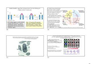 GroEL-GroES: cage-like compartment for the folding of
single protein molecules
After ~15 seconds ATP hydrolysis
takes place, followed by binding of
ATP to the lower 7-subunit ring,
which causes release of the protein.
• ATP binding triggers a conformational
change that buries the 7-subunit
hydrophobic patches, releasing the
polypeptide into the central activity
(“Anfinsen cage”).
1). -DnaK, the major bacterial Hsp70
protein binds to regions of unfolded
protein that are rich in hydrophobic region,
preventing inappropriate aggregation.
-DnaK also stabilizes proteins for
subsequent folding by GroEL.
- DnaK cooperates with co-chaperone
DnaJ(a Hsp40 protein) and regulator GrpE
nucleotide-exchange factor protein.
2). also block the folding of certain
protein that must remain unfolded
until they have been translocated
across membranes.
The Hsp70 (DnaK) proteins bind to
and release polypeptides in a cycle
with Hsp40 (DnaJ) and ATP hydrolysis.
DnaJ functions in presenting unfolded proteins to DnaK and accelerate ATP hydrolysis
Bacterial cells containing inclusion bodies as visualized by electron microscopy.
The recombinant protein overproduced in bacterial cells cannot fold correctly
and forms large insoluble aggregates.
Inclusion body binding protein IbpB (belongs to sHSP) is able to bind non-
selectively aggregation-prone unfolded proteins – holding chaperone, does
not require ATP for its function
• IbpB (16-kDa) belongs to the
small heat shock (sHSP) protein family
the dodecameric structure
• It has an α-crystallin domain (white)
with the function of holding chaperone.
The amino-terminal 31 residues
in half of the 12 subunits (dodekameric
structure) of IbpB
are structurally disordered.
Structural disorderness is a prerequisite
for IbpB to bind its substrate proteins.
109 110
111 112
 