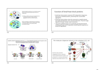 Biotechnological production of recombinant protein
without (A) and with (B) optimized amounts of
chaperones.
A) Without sufficient amounts of chaperones the
recombinant protein is highly prone to
aggregation and forms inclusion bodies.
B) The controlled co-overproduction of molecular
chaperones together with the target protein leads
to increased levels of the properly folded
recombinant protein.
Function of Small heat shock proteins
• Small heat shock proteins represent ATP-independent chaperones
that bind to misfolded proteins, preventing their uncontrolled
aggregation.
• Small heat shock proteins share the conserved α-crystallin domain
and largely disordered N- and C-terminal extensions. They form large
oligomers through multiple, weak interactions.
• They bind unfolded protein non-specifically and directed towards
refolding pathways by ATP-dependent Hsp70/Hsp100 chaperones or
sorted for degradation
Hsp100 is a family of disaggregating chaperones that can thread aggregated polypeptide chains through the central
pore of adenosine triphosphatase (ATPase) rings arranged in hexamer
Hsp70 recruits aggregated proteins and delivers them to Hsp100
Aggregated polypeptid chains
The molecular chaperone network in the cytoplasm of E. coli
DnaK-DnaJ
In bacteria, fungi, and plants,
disaggregation involves cooperation
between Hsp100 chaperones (ClpB in E. coli
and Hsp104 in S. cerevisiae) and the Hsp70
chaperone system (DnaK system in E. coli).
113 114
115 116
 
