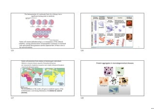 Sickle cell anemia pathophysiology is a consequence of this reduced
solubility, causing polymerization of hemoglobin S tetramers in red blood
cells upon partial deoxygenation and the impaired ﬂow of these cells in
the microcirculation.
The demonstration of a molecular basis for a disease was a
significant turning point in medicine.
Sickle-Cell Disease:
A change in Primary Structure
126
Sickle cell protection from malaria in heterozygote individuals
•Malaria is a parasitic disease caused by Plasmodium falciparum
and transmitted by Anopheline mosquitoes and is highly widespread throughout
tropical and subtropical regions
The accumulation of the sickle cell gene in malarial regions of the
world became a convincing illustration of evolution by natural
selection.
Protein aggregates in neurodegenerative diseases
125 126
127 128
 