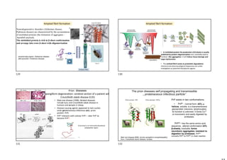 Amyloid fibril formation
Amyloid fiber
amyloid beta peptid - Alzheimer disease
alfa-synuclein -Parkinson disease
Neurodegenerative disorders (Alzheimer disease,
Parkinson disease) are characterized by the accumulation
of misfolded proteins (the formation of aggregates -
harmfull amyloid).
The misfolded protein is rich in -sheet conformation
and arrange into cross -sheet with oligomerisation
cross -sheet
Amyloid fibril formation
• In misfolded protein the production of β-sheets is usually
stabilized by protein oligomerization and eventially lead to
amiloid –like aggregation. It will induce tissue damage and
organ dysfunction.
• The amiloid fibril resists to proteolitic degradation.
chemical and pharmacological chaperones are under
invetigation as potential therapeutic agents.
131
• Mad cow disease (1996). Related diseases
include kuru and Creutzfeldt-Jakob disease in
humans and scrapie in sheep.
• Disease-causing agents appeared to lack nucleic
acids (proteinaceous infectious only -prion
protein: PrP)
• PrPsc interacts with cellular PrPc--- alter PrPc to
become PrPSc.
Prion diseases
Spongiform degeneration: cerebral section of a patient with
Creutzfeldt-Jakob disease (CJD)
N-terminal is an intrisically disordered
polypeptide region.
PrP exists in two conformations,
• PrPC - normal form ,42% -
helices, soluble, is a transmembrane
glycoprotein (neurons, lymphocytes);
its function is unknown; it binds Cu2+
,is monomeric and easily digested by
proteases.
PrPSc- has the same amino acid
sequence, altered conformation 43%
β-sheets, insoluble, forms
neurotoxic aggregates, resistant to
digestion by proteases. PrPSc
converts PrPC to PrPSc in chain reaction.
The prion diseases self propagating and transmissible
„ proteinaceous infectious particle”
Mad cow disease (BSE, bovine spongiform encephalopathy)
Kuru, Creutzfeldt-Jacob disease, scrapie
129 130
131 132
 