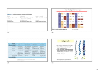 I-type of collagen C-terminal region
Every third residue is glycine Hyp: Hydroxyproline
Collagen represents up to 25 to 35 % of the total protein
content of the body.
Collagen helix
• The collagen polypeptide forms a left-
handed helical conformation with
three residues per turn.
• Three left handed collagen polypeptide
chains wind around each other with a
right-handed manner forming a typical
collagen triple helix
LH RH
Resistant to pressure and tension
Nagy mechanikai szilárdság
137 138
139 140
 