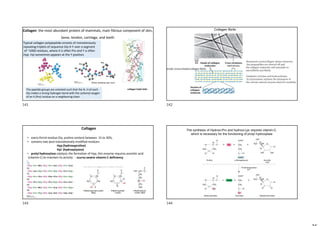 Collagen: the most abundant protein of mammals, main fibrous component of skin,
bone, tendon, cartilage, and teeth
Typical collagen polypeptide consists of monotonously
repeating triplets of sequence Gly-X-Y over a segment
of ~1000 residues, where X is often Pro and Y is often
Hyp. Hyl sometimes appears at the Y position.
The peptide groups are oriented such that the N..H of each
Gly makes a strong hydrogen bond with the carbonyl oxygen
of an X (Pro) residue on a neighboring chain
collagen triple helix
Three residues per turn
Collagen fibrils
periodic cross-striated collagen fibrils
Monomeric protocollagen chains trimerize,
the propeptides are cleaved off and
the collagen molecules self-assemble to
microfibrils and fibrils.
Oxidation of lysine and hydroxylysine
by lysyloxidase initiates the formation of
the various natural enzyme-derived crosslinks
Collagen
• every thrird residue Gly; proline content between 15 to 30%,
• contains two post-translationally modified residues:
Hyp (hydroxyproline)
Hyl: (hydroxylysine)
• prolyl hydroxylase catalysis the formation of Hyp, this enzyme requires ascorbic acid
(vitamin C) to maintain its activity - scurvy severe vitamin C deficiency
The synthesis of Hydroxi-Pro and hydroxi-Lys requires vitamin-C,
which is necessary for the functioning of prolyl hydroxylase
141 142
143 144
 