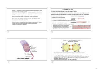 Vitamin C deprivation results in underhydoxylation of procollagen, which
accumulated and eventially degraded
Consequence of vitamin C deficiency : poor wound healing characteristic
of scurvy
Prolyl 4 hydroxylase; prolyl 3 hydroxylase, lysine hydrolxylase
Each enzyme has a binding site near iron centre, the role of ascorbate
to maintain iron in reduced state (Fe2+)
Hydroxylation of lysine, proline of procollagen are necessary for folding
into the triple helix (contribute to the stiffness of procollagen),
which can be secreted by fibreblast.
-Keratin and Hair
-keratin: left-handed superhelix of two right-handed  -helices.
from wool & hair, intermediate filaments in cytoskeleton, muscle protein (myosin & tropomyosin)
Mechanically durable and unreactive protein of vertebrates up to 85% of protein in horns, hair, nails & feathers
• -keratins occur in mammals;
• -keratins occur in birds and reptiles
• 30 keratin genes expressed in mammals
•  -keratins are classified as relatively acidic (Type I) or basic (Type II)
Keratins have complex quaternary structures
• keratins are dimers composed of a Type I and Type II subunit
• many dimers associate to form protofilaments
• protofilaments dimerize to form protofibrils
• protofibrils form tetramers called microfibrils
• microfibrils associate into macrofibrils
The central 310-residue segment of each keratin polypeptide chain has a 7-residue
pseudorepeat:
a-b-c-d-e-f-g, with nonpolar residues predominating at positions „a” and „d”.
Since an  -helix has 3.6 residues per turn, in keratin the hydrophobic „a” and „d” residues line
up along one side of each helix . The hydrophobic strip along one helix associates with the
hydrophobic region on another helix.
„a” and „d” amino acids most often: Phe, Ile, Val, Met, Ala
Keratin is a special example of -helix, it is
a coiled-coil structure
145 146
147 148
 