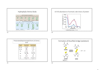 Hydrophylic Amino Acids UV-VIS absorbance of aromatic side-chains of protein
Protonated/deprotonated forms of amino
acid
Formation of Disulfide-bridge (oxidation)
13 14
15 16
 