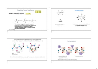 Peptide bond is planar C N 1,27Å
C N 1,47Å
C N 1,27Å
C N 1,47Å
C-N 1,33Å
40% N−C' double bond character
Linus Pauling
C−C bond length in benzene is 1.39 A˚.
The Kekulé structure -
Bonds in bezene have partial double bond character
Single C-C bond length in
Hydrocarbons
Two configurations of the planar peptid bond are possible:
one in which C atoms are trans , the other in which they are cis
The trans form is intrinsically favored energetically – fewer repulsions between non-bonded atoms
Schematic diagram of an extended polypeptide chain
The Peptide Bond
Resonance of peptide bond
- Polarity, Dipole moment
- partial double-bond character
Trans-conformation of C
21 22
23 24
 