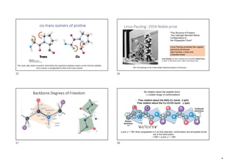 cis-trans isomers of proline
The cyclic side chains in proline diminishes the repulsions between atoms so the intrinsic stability
of cis isomer is comparable to that of the trans isomer
Linus Pauling: 1954 Noble prize
ªThe Structure of Proteins:
Two Hydrogen-Bonded Helical
Configurations of
the Polypeptide Chainº.
1951 Proceedings of the United States National Academy of Sciences
Linus Pauling predicted two regular
periodical structurea:
right handed -helix and
-pleeted sheet
Linus Pauling, has been awarded two undivided Nobel Prizes,
in 1954 in Chemistry and in 1962 in the Peace Prize.
Backbone Degrees of Freedom No rotation about the peptide bond.
 Limited range of conformations.
- Free rotation about the N(H)‒C bond:  (phi)
Free rotation about the C‒C(=O) bond:  (psi)
 and  = 180o when polypeptide is in its fully extended conformation and all peptide bonds
are in the same plane.
- +180o >  and  > ‒180o
25 26
27 28
 