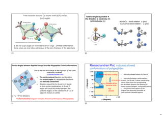 Free rotation around C-atoms with  (fi) and 
(psi) angles
 (fi) and  (psi) angles are restricted to certain range -- Limited conformation
Some values are never observed because of the steric hindrance of the side chains
Torsion angle is positive if
the direction is clockwise (+)
Anticlockwise (-) N(H)‒C : bond rotation  (phi)
- C‒C(=O) bond rotation :  (psi)
- Due to the size and charge of the R groups,  and  are
rotationally hindered.
 Ramachandran Plot
( =  = 0o not allowed.)
 The conformational freedom and therefore
the torsion angles of a polypeptide backbone
are sterically constrained.
 Rotation around the C-N and C -C bonds
to form certain combinations of  and 
angles will cause the amide hydrogen, the
carbonyl oxygen, or the substituents of C  of
adjacent residues to collide.
Torsion Angles between Peptide Groups Describe Polypeptide Chain Conformations
The Ramachandran Diagram Indicates Allowed Conformations of Polypeptides
Ramachandran Plot: indicates allowed
conformations of polypeptides
No steric overlap


Not
allowed.
Allowed at the
extreme limits
• Sterically allowed values of  and .
• Sterically forbidden conformations,
in which the  and  values would bring
atoms closer than the corresponding
van der Waals distance (the distance of
closest contact between nonbonded atoms).
• Only three small regions of the
diagram are physically accessible to
most residues (allowed regions).
Left handed helix
29 30
31 32
 