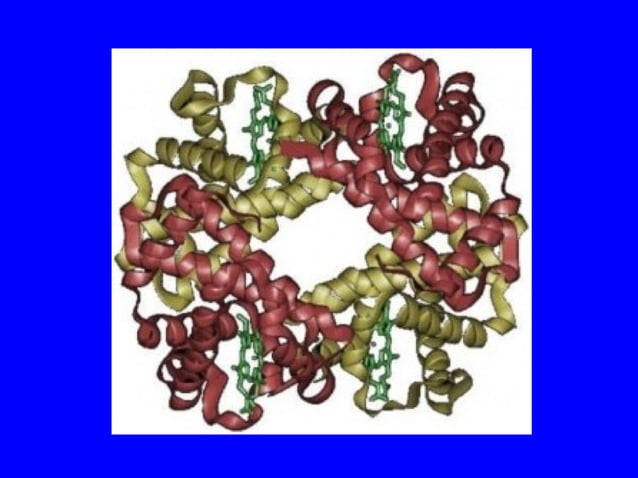 Protein structure 3d | PPT