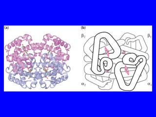 Protein structure 3d | PPT