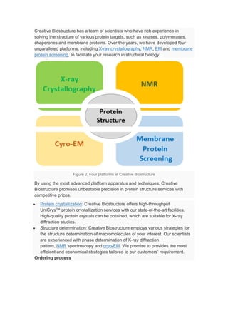 Protein structure analysis | PDF