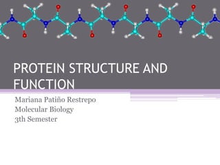 PROTEIN STRUCTURE AND
FUNCTION
Mariana Patiño Restrepo
Molecular Biology
3th Semester
 